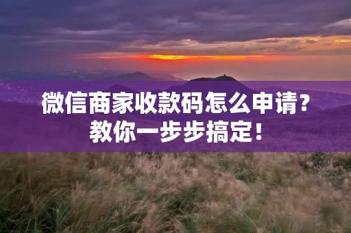 微信商家收款码怎么申请?教你一步步搞定!