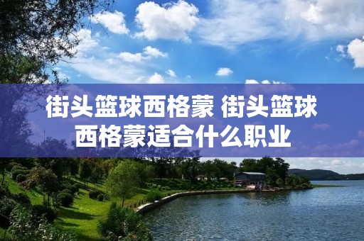 街头篮球西格蒙 街头篮球西格蒙适合什么职业 街头篮球西格蒙 街头篮球西格蒙适合什么职业