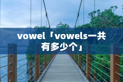 vowel「vowels一共有多少个」