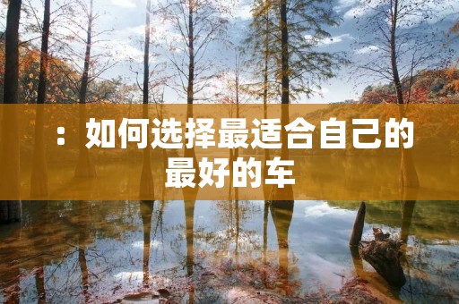 ：如何选择最适合自己的最好的车