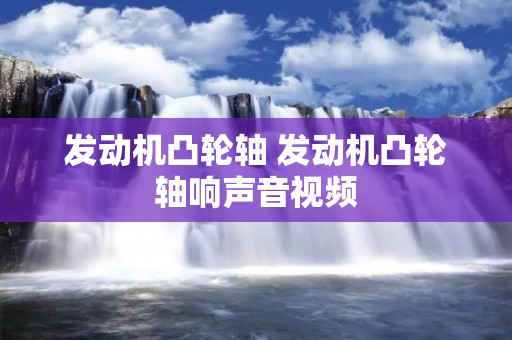 发动机凸轮轴 发动机凸轮轴响声音视频