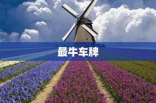最牛车牌:让你的座驾更加与众不同 最牛车牌:让你的座驾更加与众不同