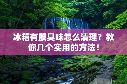 冰箱有股臭味怎么清理?教你几个实用的方法! 冰箱有股臭味怎么清理?教你几个实用的方法!