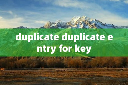 duplicate duplicate entry for key