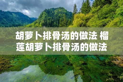 胡萝卜排骨汤的做法 榴莲胡萝卜排骨汤的做法