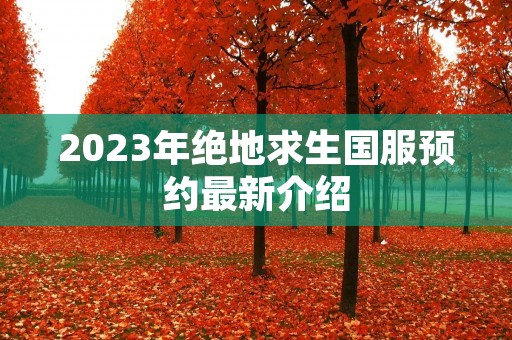2023年绝地求生国服预约最新介绍