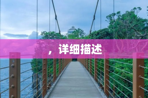 ,详细描述