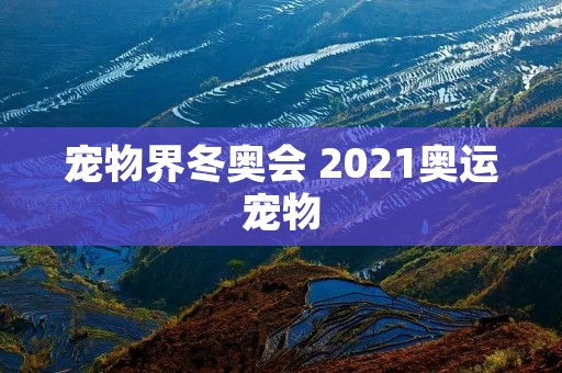 宠物界冬奥会 2021奥运宠物