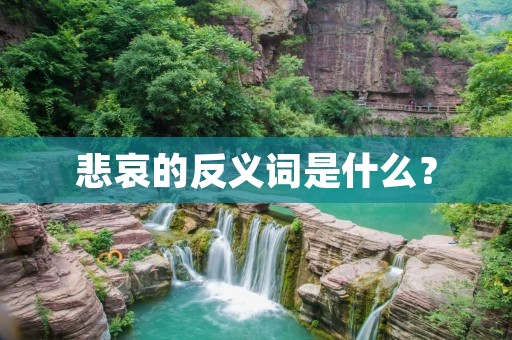悲哀的反义词是什么?