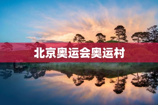 北京奥运会奥运村：一个历史与荣耀的见证