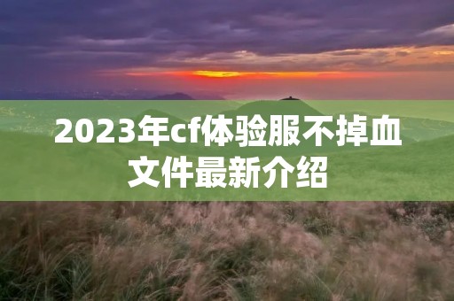 2023年cf体验服不掉血文件最新介绍