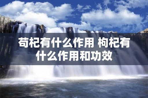 苟杞有什么作用 枸杞有什么作用和功效
