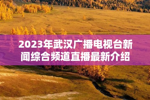 2023年武汉广播电视台新闻综合频道直播最新介绍
