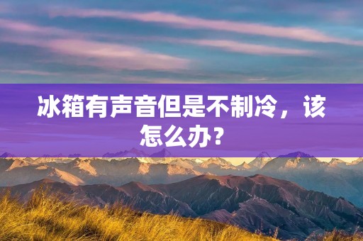 冰箱有声音但是不制冷,该怎么办? 冰箱有声音但是不制冷,该怎么办?