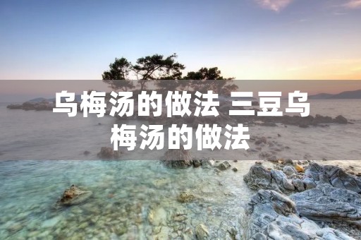 乌梅汤的做法 三豆乌梅汤的做法 乌梅汤的做法 三豆乌梅汤的做法