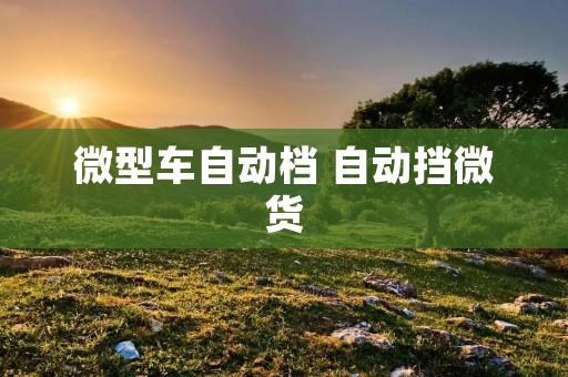 微型车自动档 自动挡微货 微型车自动档 自动挡微货