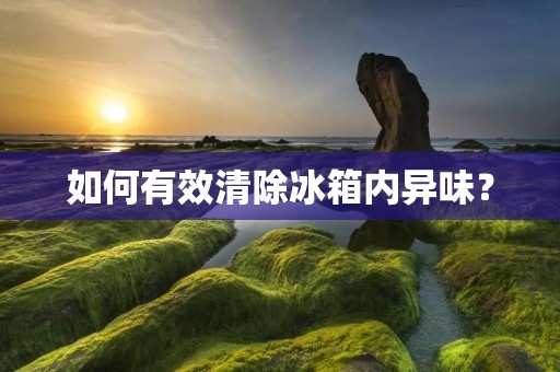 如何有效清除冰箱内异味？