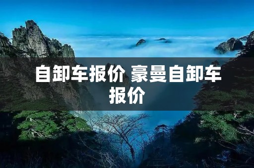自卸车报价 豪曼自卸车报价
