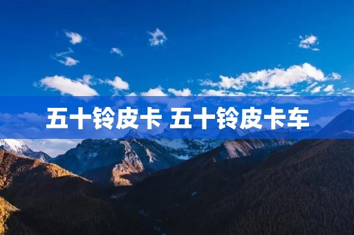 五十铃皮卡 五十铃皮卡车 五十铃皮卡 五十铃皮卡车