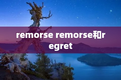 remorse remorse和regret