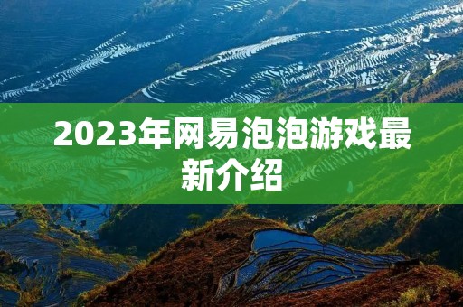 2023年网易泡泡游戏最新介绍