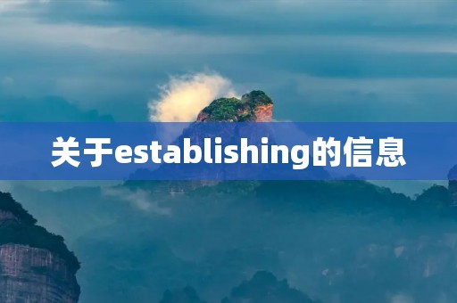 关于establishing的信息 关于establishing的信息