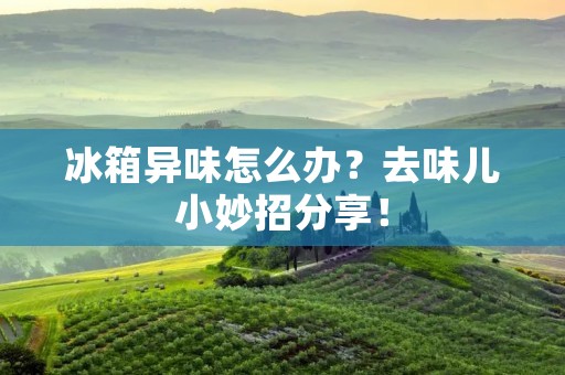 冰箱异味怎么办？去味儿小妙招分享！