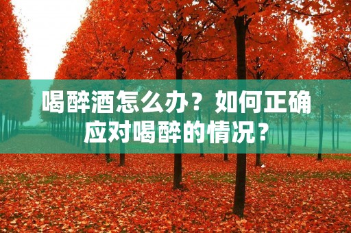 喝醉酒怎么办?如何正确应对喝醉的情况? 喝醉酒怎么办?如何正确应对喝醉的情况?