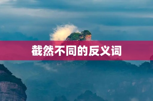 截然不同的反义词:黑白、寒暑、善恶、爱恨