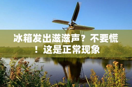 冰箱发出滋滋声？不要慌！这是正常现象