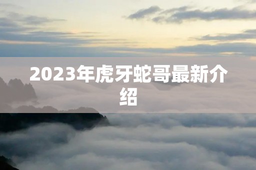 2023年虎牙蛇哥最新介绍