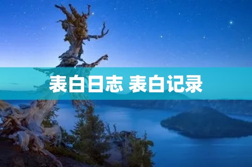 表白日志 表白记录