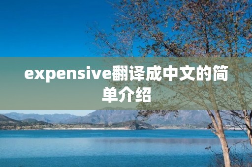 expensive翻译成中文的简单介绍