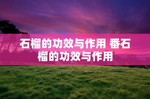 石榴的功效与作用 番石榴的功效与作用
