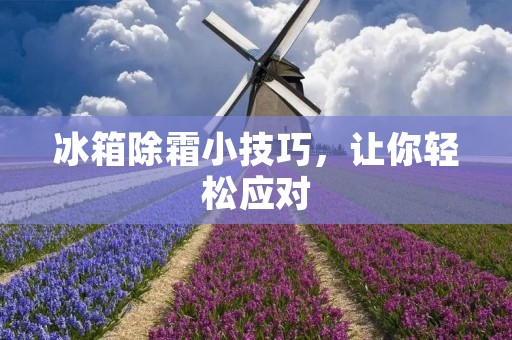 冰箱除霜小技巧，让你轻松应对