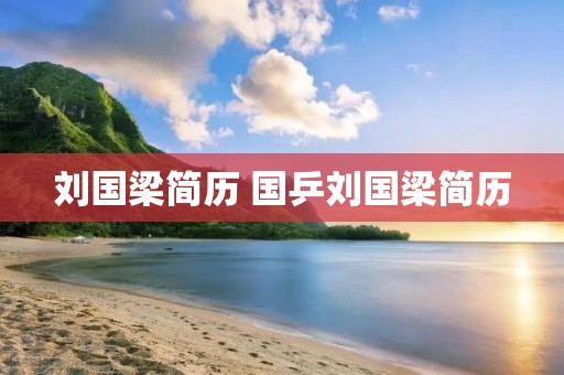 刘国梁简历 国乒刘国梁简历 刘国梁简历 国乒刘国梁简历