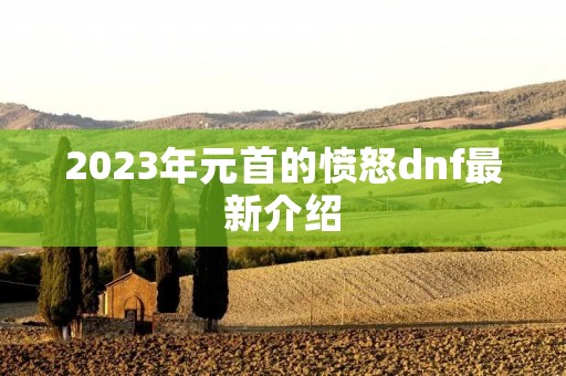 2023年元首的愤怒dnf最新介绍