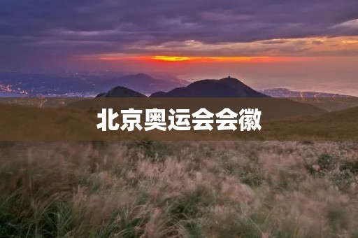 北京奥运会会徽:用设计传递文化 北京奥运会会徽:用设计传递文化
