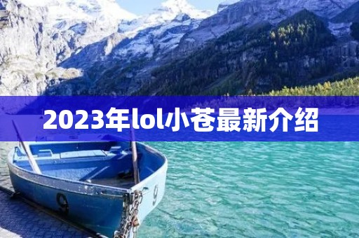 2023年lol小苍最新介绍