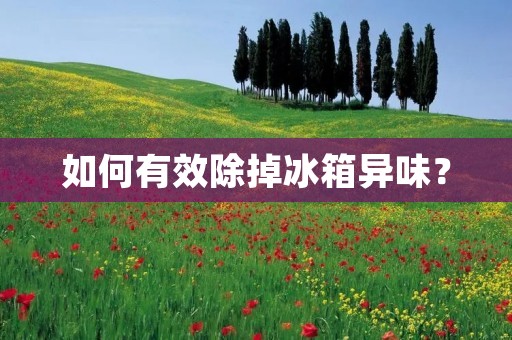 如何有效除掉冰箱异味？