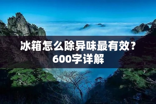 冰箱怎么除异味最有效？600字详解