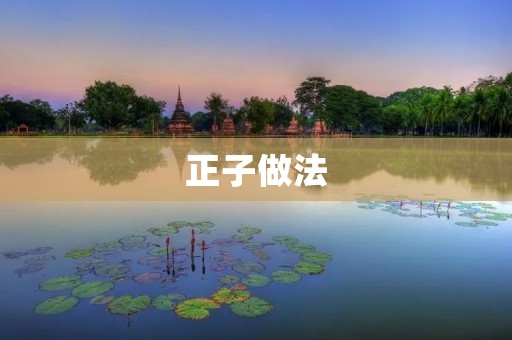 正子做法：探索物质世界的新视角