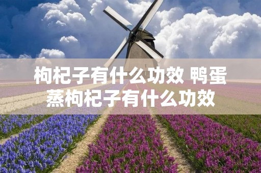 枸杞子有什么功效 鸭蛋蒸枸杞子有什么功效 枸杞子有什么功效 鸭蛋蒸枸杞子有什么功效