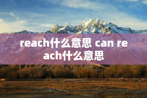 reach什么意思 can reach什么意思