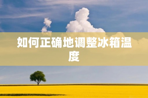 如何正确地调整冰箱温度