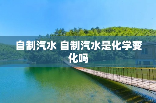 自制汽水 自制汽水是化学变化吗