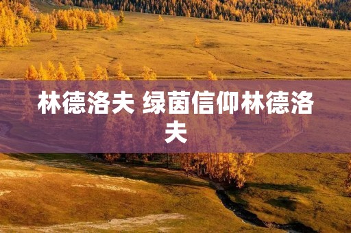林德洛夫 绿茵信仰林德洛夫