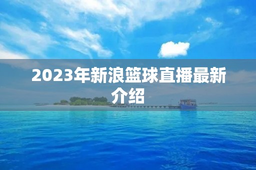 2023年新浪篮球直播最新介绍