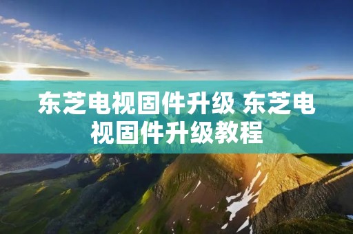 东芝电视固件升级 东芝电视固件升级教程