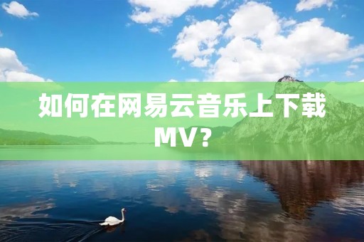 如何在网易云音乐上下载MV？
